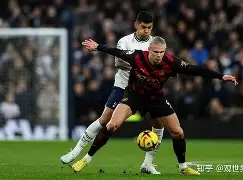 九游体育注册-包含哈兰德vs凯恩：谁是当今第一中锋？的词条