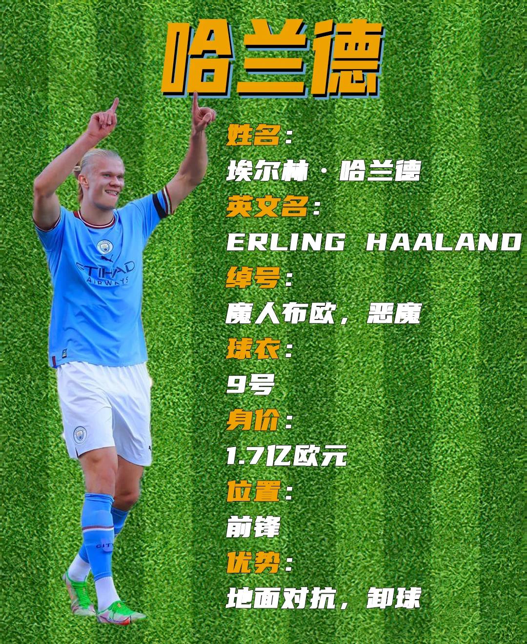 关于世界足球绰号大全:谁最霸气?的信息 关于世界足球绰号大全:谁最霸气?的信息